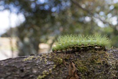 079962_Chicaque-ago-24-2019-400x267