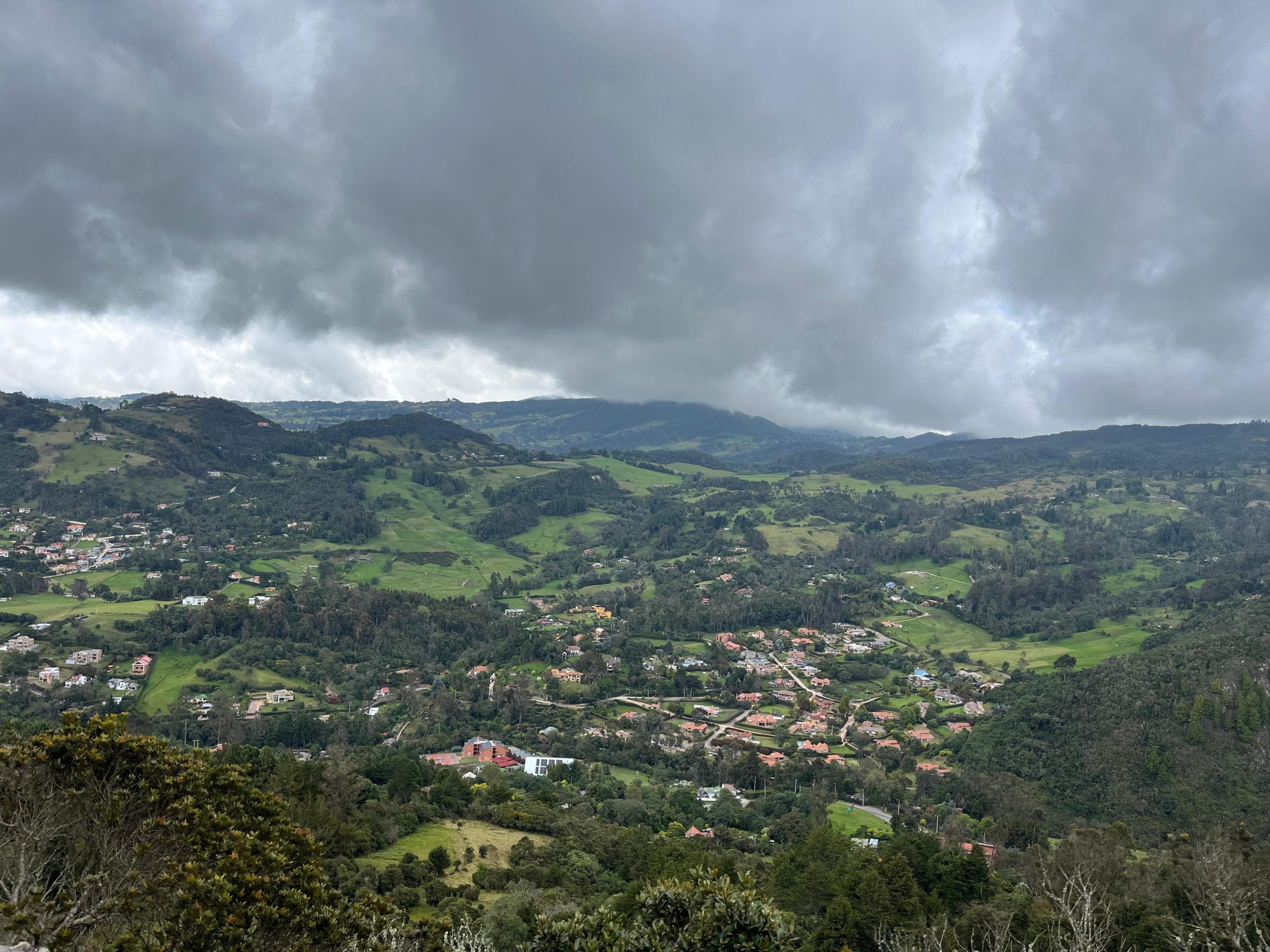 445cca49-902f-4f70-8edf-47364a7d0cc3-scaled