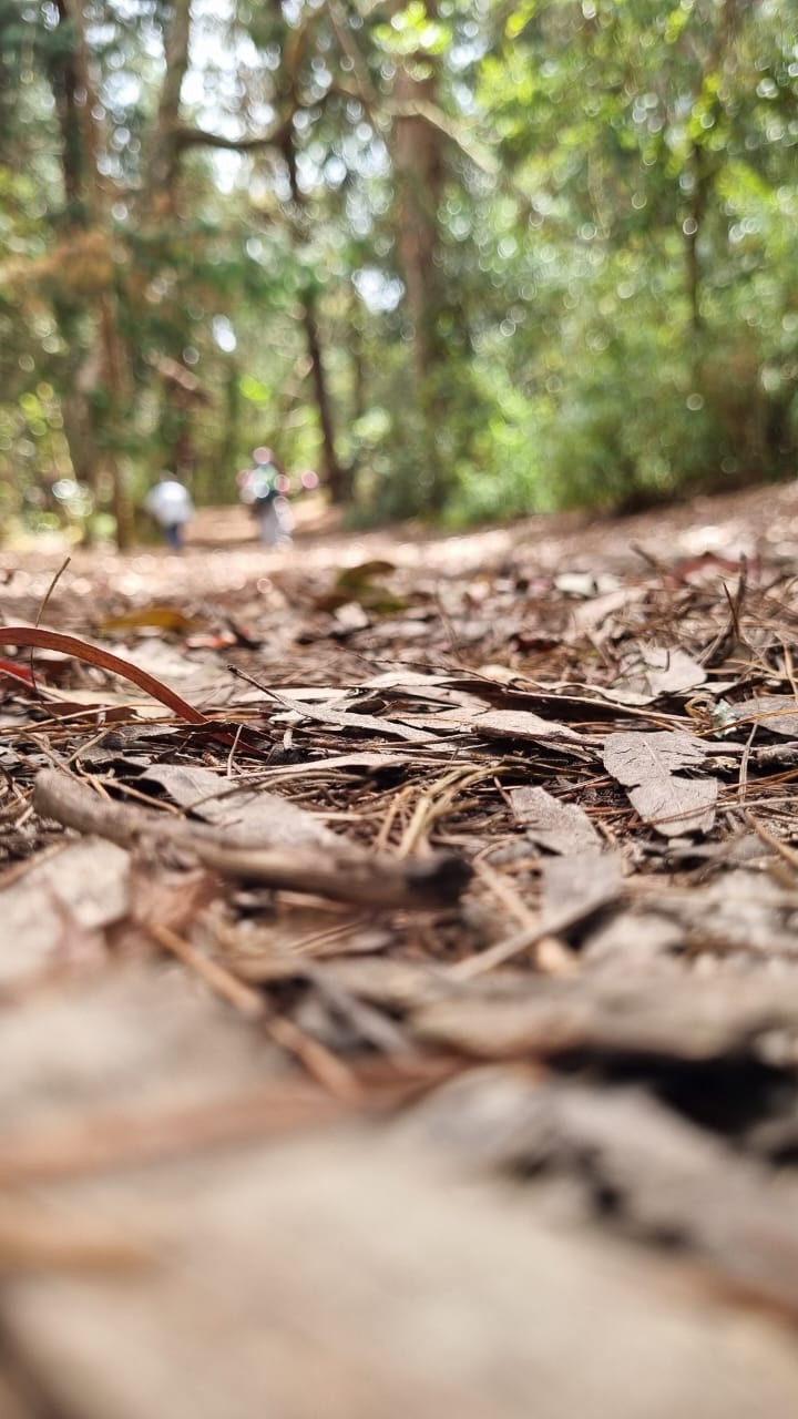 4a2a38ca-1e24-4dad-b442-e9342e5acc1a