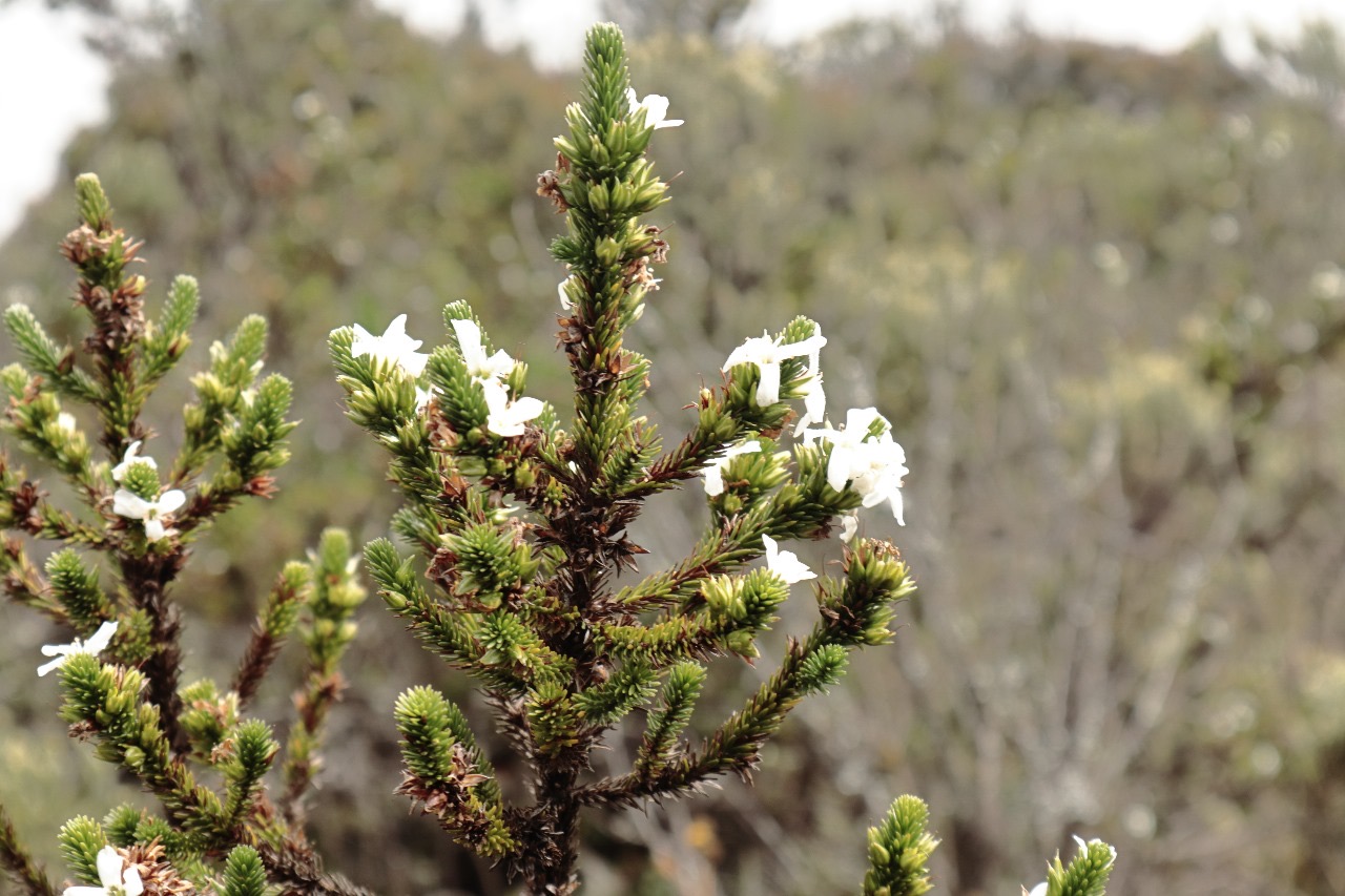 5be88db8-6ec3-4f85-9fbd-148b7b0e5d35