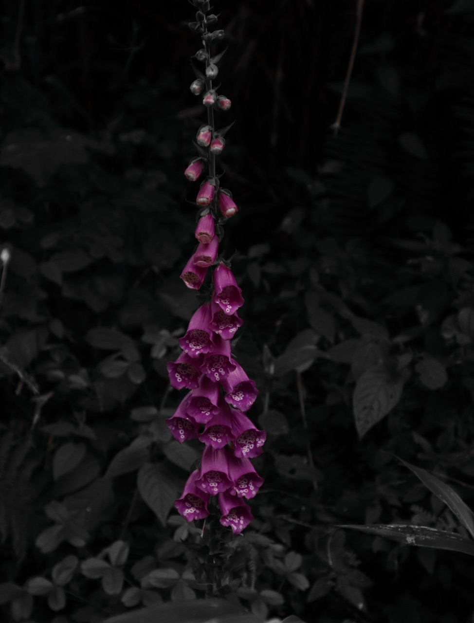 60c36322-0877-456e-bef5-6fb7198c9f0a