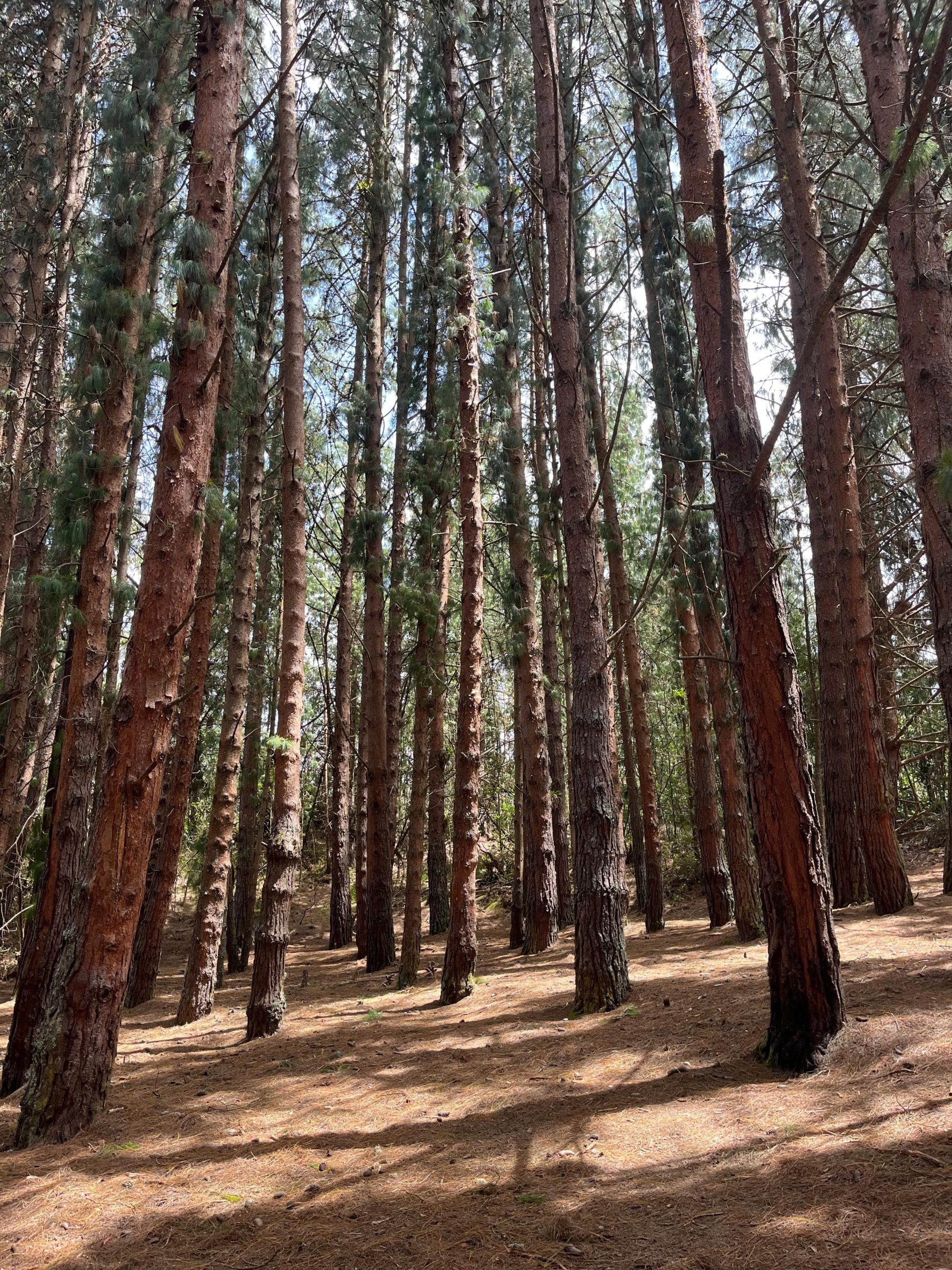 6d67a661-2c09-4cd6-bb1f-a124b366ef40-scaled