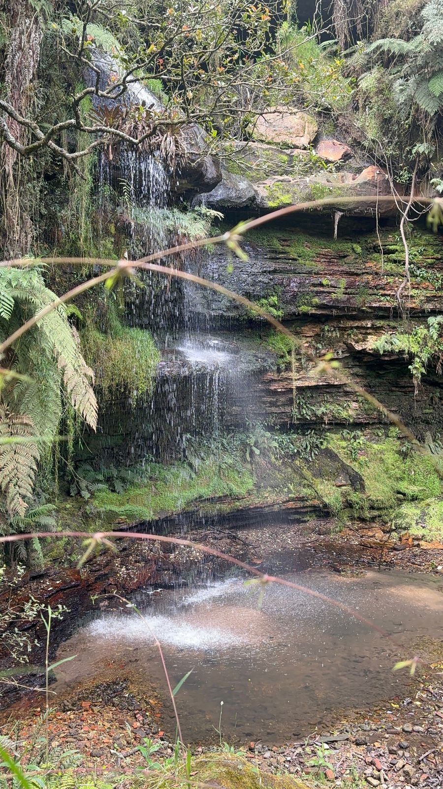 7c76fea3-22b3-4bbe-8fe1-b6e26815fa23