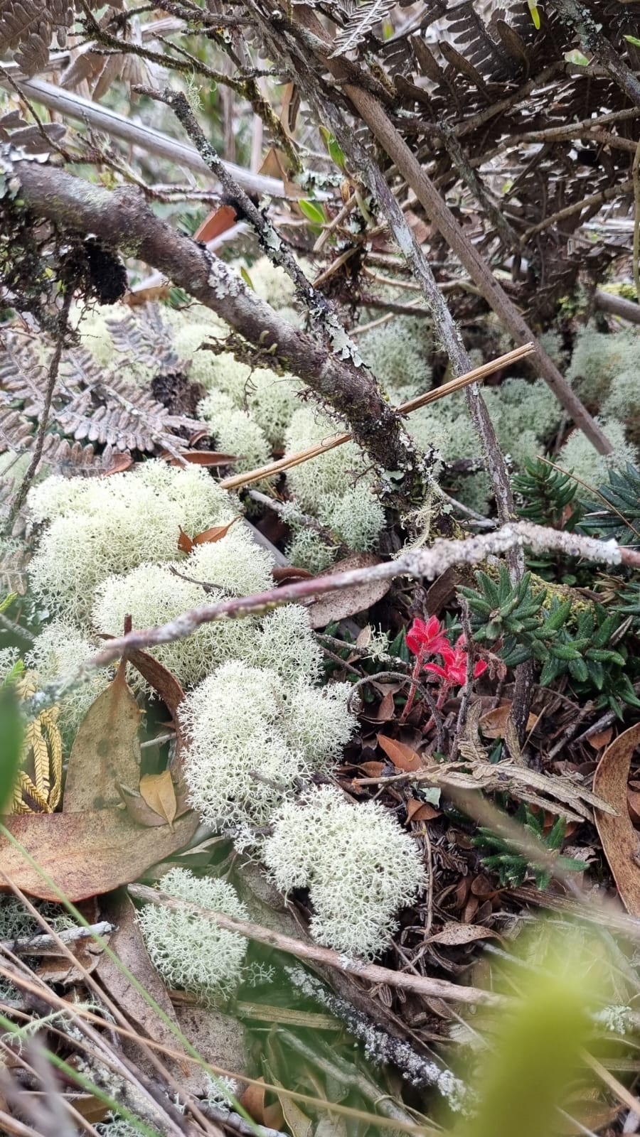 9b10c6b7-7203-4e11-bcfd-49097c5f7aba