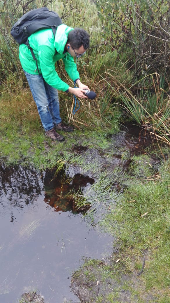 Caminantes-marzo-2019-8