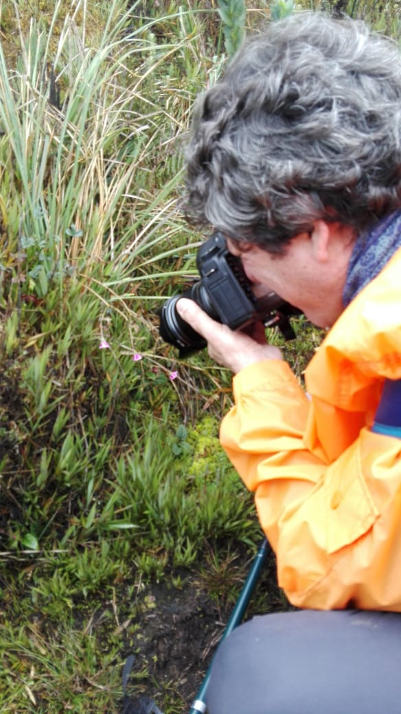 Caminantes-marzo-2019-9