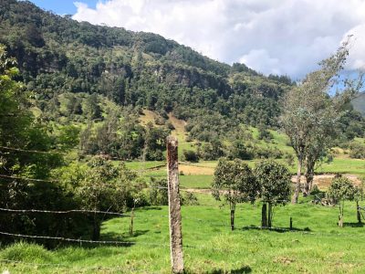 Paisaje-camino-cascada-Sueva-400x300