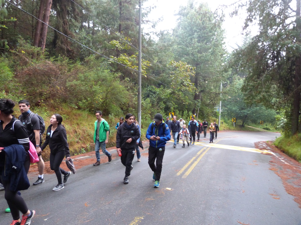 Sin confirmar 858137.crdownload