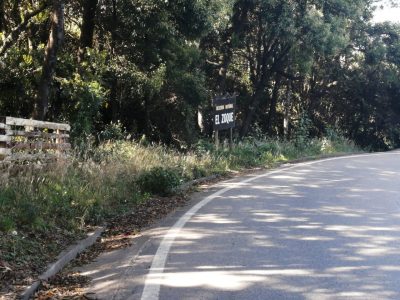 WhatsApp-Image-2021-07-01-at-9.23.51-PM-400x300