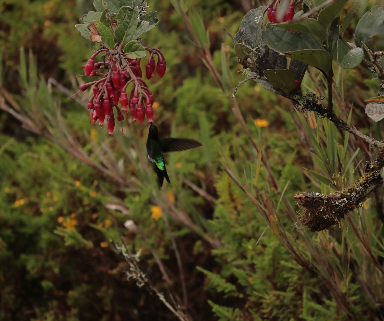 WhatsApp-Image-2022-08-30-at-8.00.25-AM-2-1