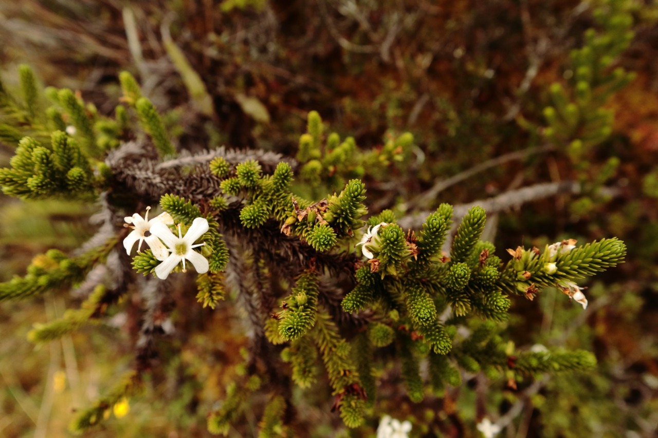 WhatsApp-Image-2022-08-30-at-8.00.25-AM