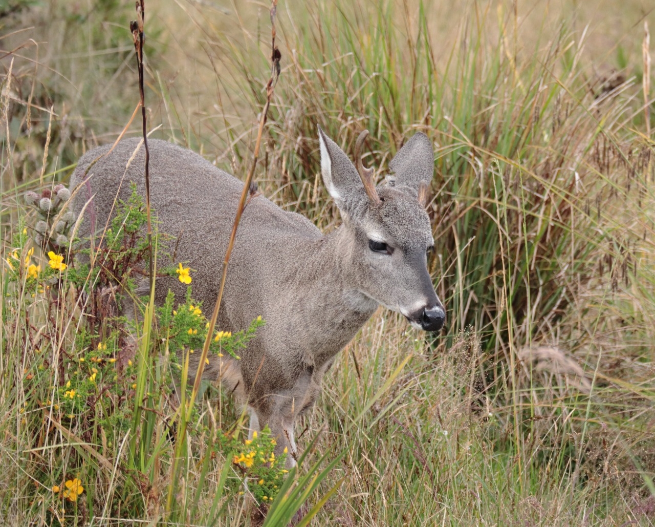 WhatsApp-Image-2022-08-30-at-8.00.26-AM-1