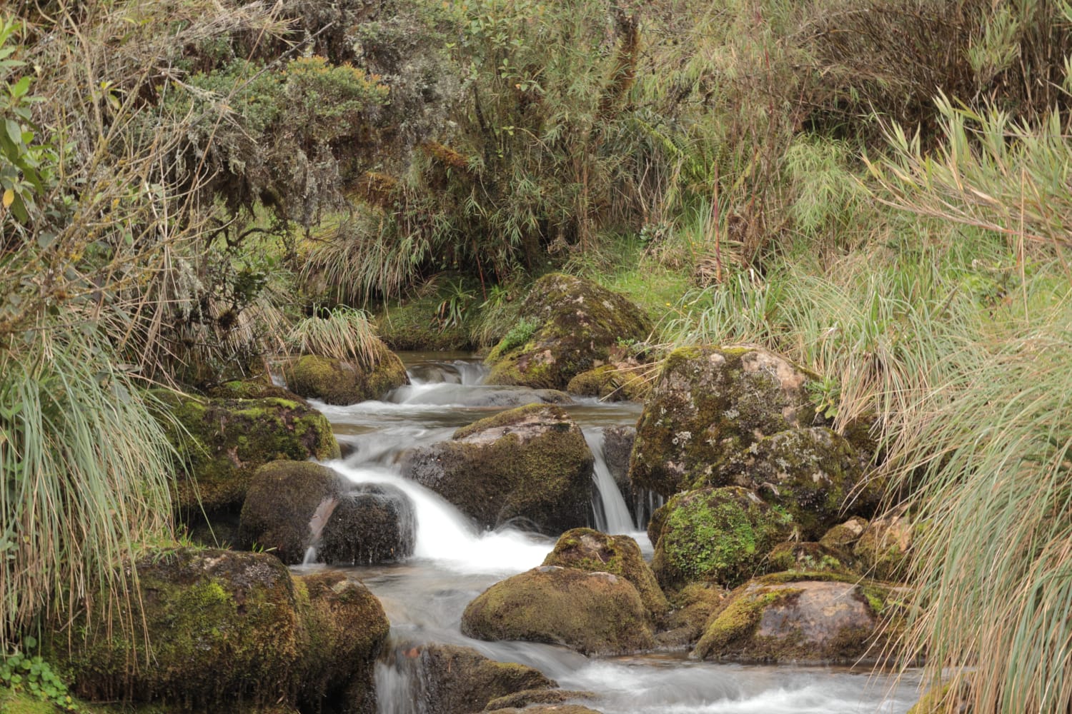 WhatsApp-Image-2022-08-30-at-8.00.26-AM-2