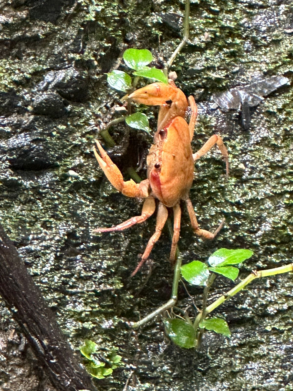 WhatsApp-Image-2023-05-02-at-1.10.51-PM