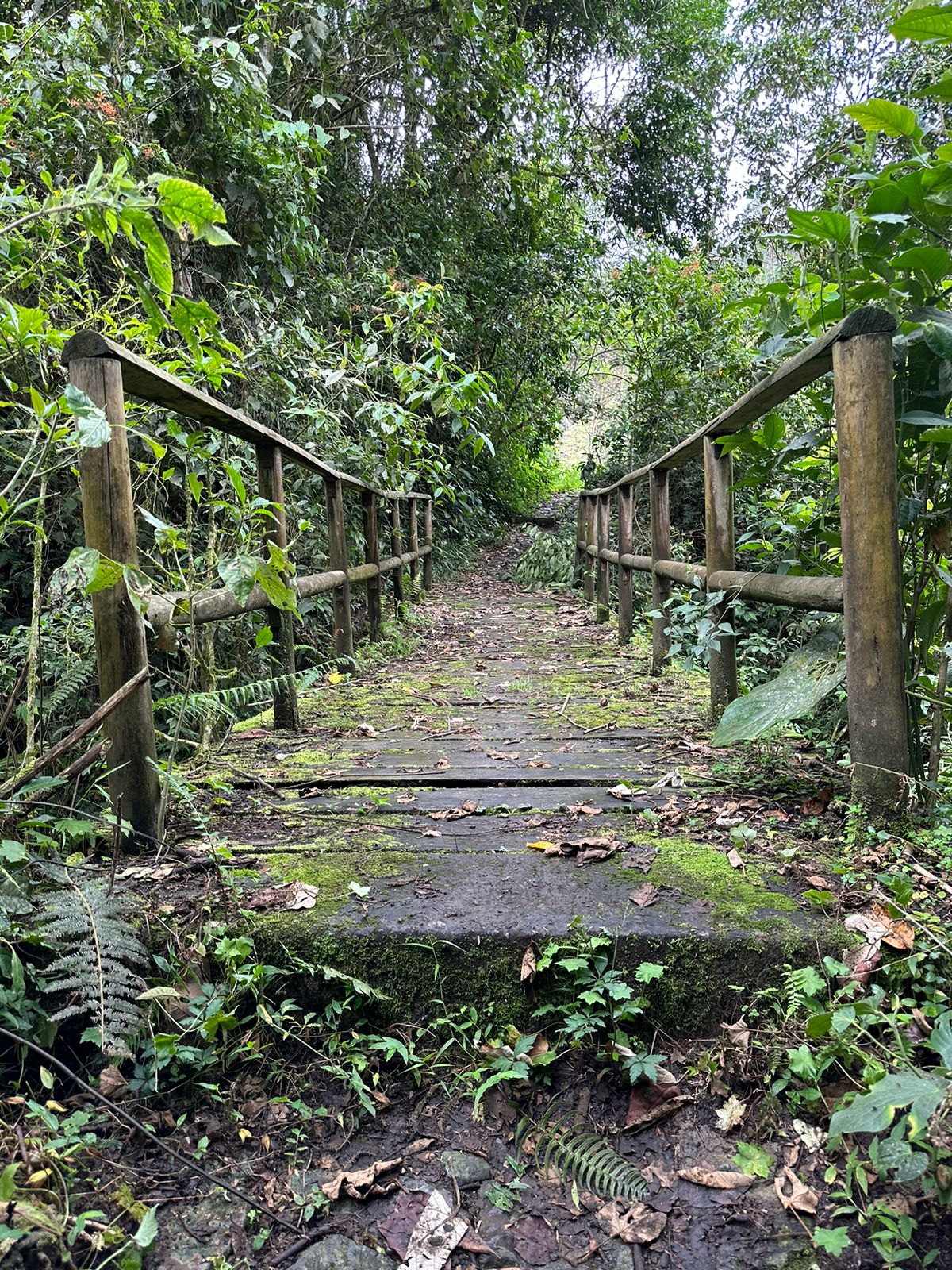 WhatsApp-Image-2023-05-02-at-1.11.36-PM-1