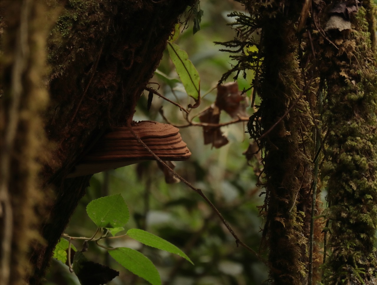 f4763783-1b7b-4d2e-811e-7d012637c1af