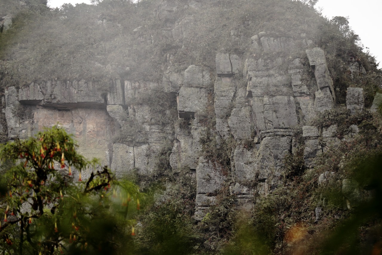 fafe759a-485e-421c-aa61-9907353951d8