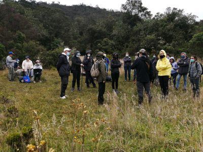 montana-del-oso-400x300